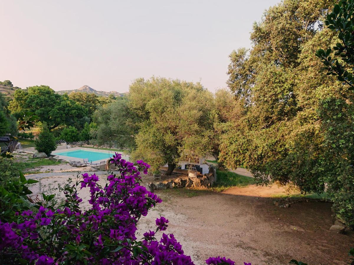 Agriturismo Desole Monti Ngoại thất bức ảnh