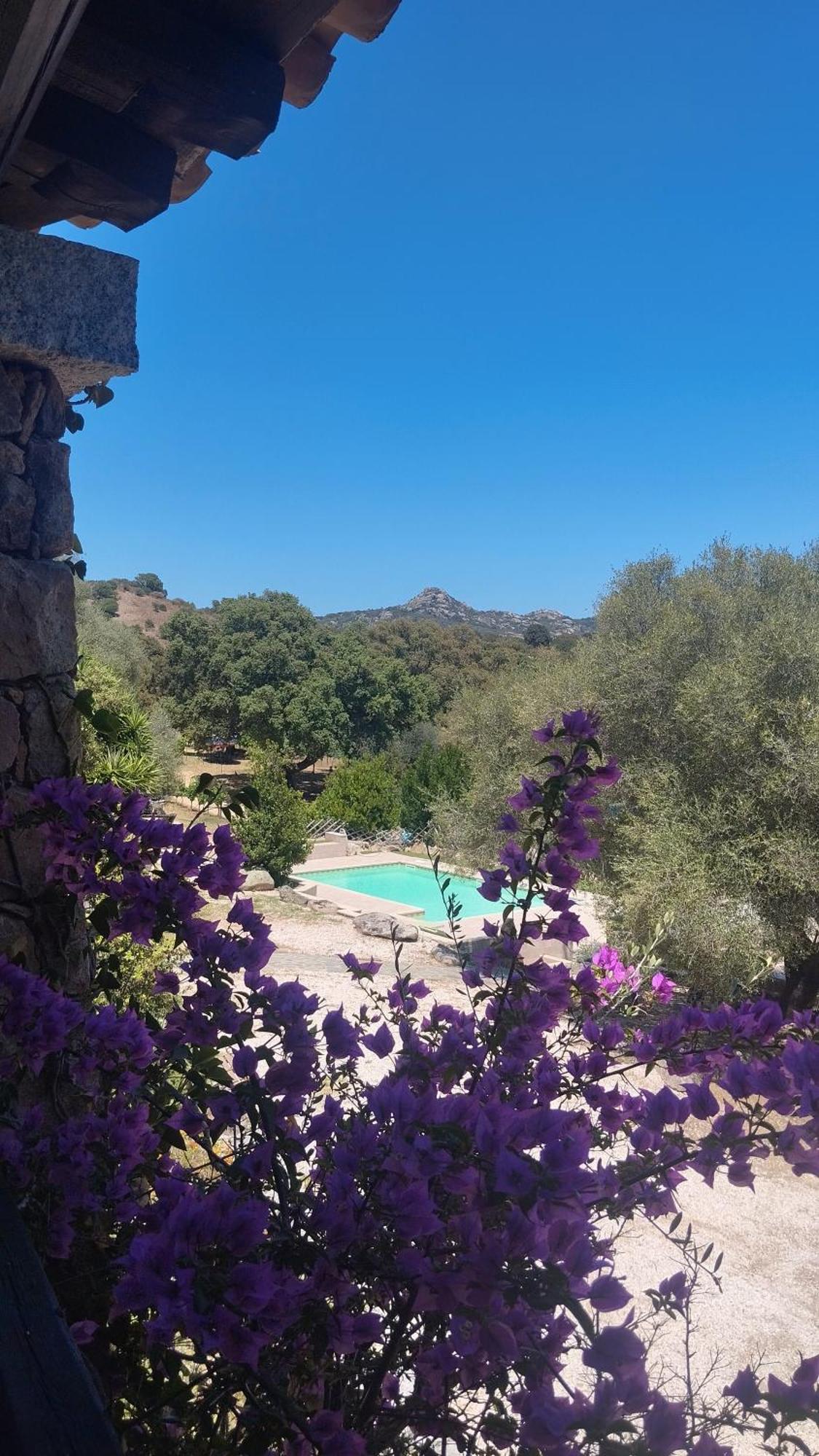 Agriturismo Desole Monti Ngoại thất bức ảnh