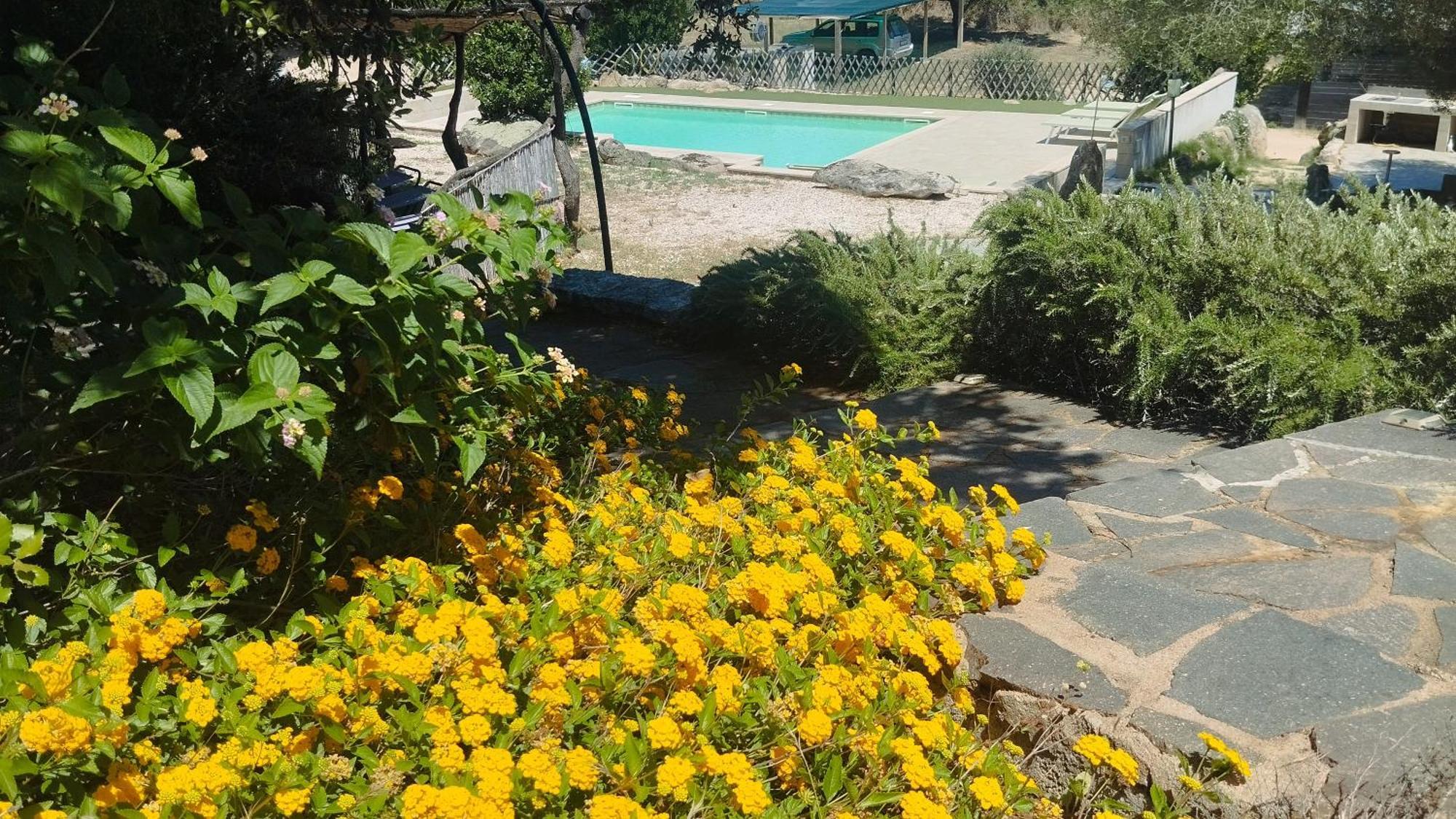 Agriturismo Desole Monti Ngoại thất bức ảnh
